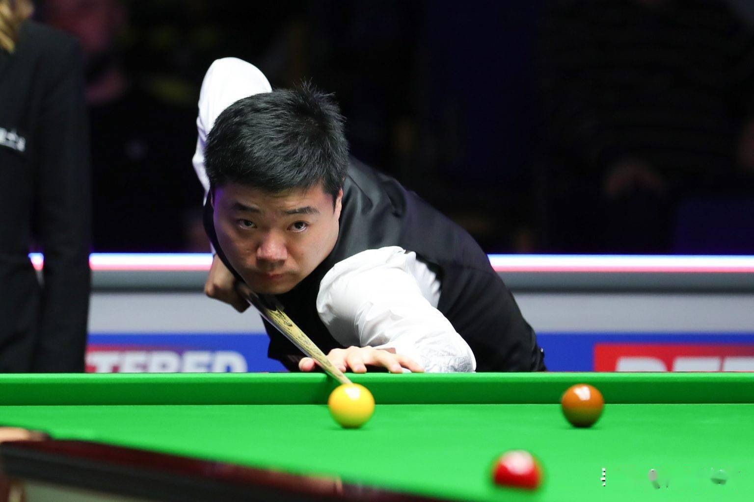 不仅展示了 不仅展示了